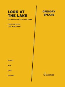 Look at the lake Standard