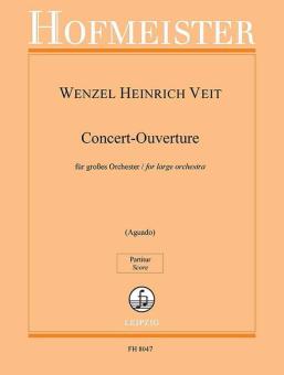 Ouverture de concert op. 17 
