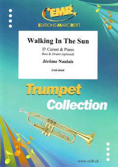 Walking In The Sun Download