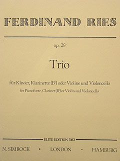 Piano Trio In B Flat Major Op. 28 