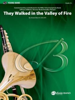 They Walked In The Valley Of Fire Download