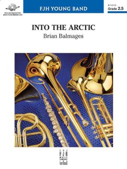 Into the Arctic 