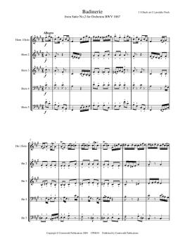 Badinerie from Suite No. 2 for Orchestra BWV 1067 