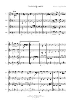 Graz Galop D.925 