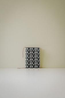 Carnet de notes Musique cachée 