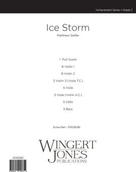 Ice Storm 