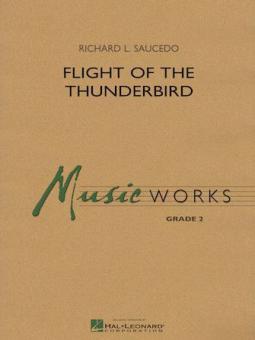 Flight of The Thunderbird Download