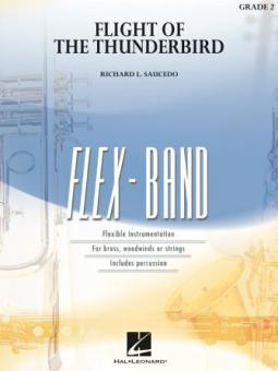 Flight of the Thunderbird Download