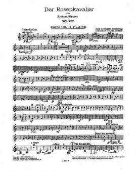 The Knight of the Rose Op. 59 