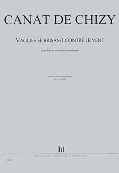 Vagues se brisant contre le vent 