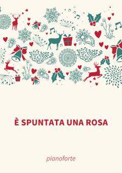 È spuntata una rosa 