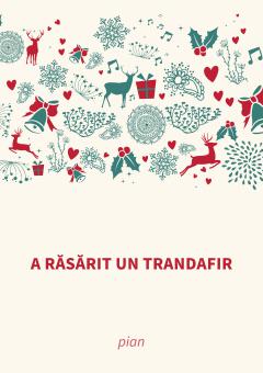 A răsărit un trandafir 