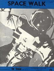 Space Walk 