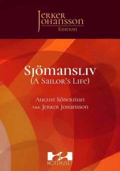 A Sailor's Life 
