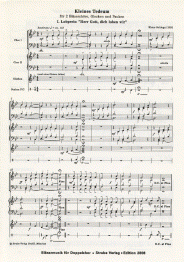 Kleines Tedeum 