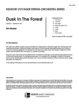 Dusk In The Forest 
