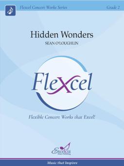 Hidden Wonders Download