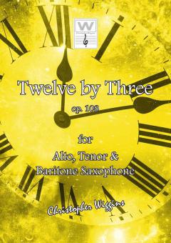 12 By 3 Download