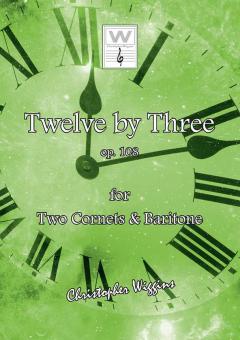 12 By 3 Download