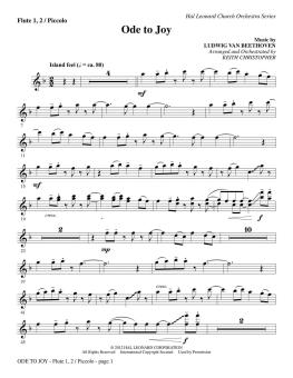 Ode to Joy 