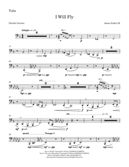 I Will Fly (Full Orchestration) 