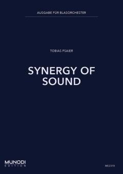Synergy Of Sound 