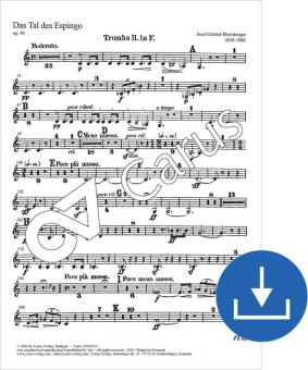 Das Tal des Espingo op. 50 