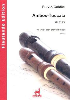Ambos Toccata op. 143b 