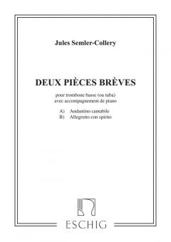 2 Pièces Brèves 