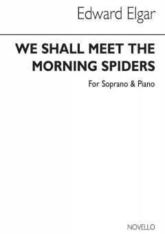 We Shall Meet The Morning Spiders 