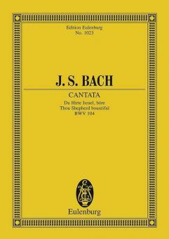 Cantata No. 104 (Dominica Misericordias Domini) BWV 104 Standard