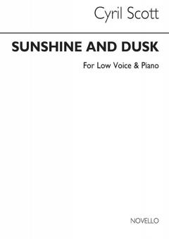 Sunshine and Dusk 