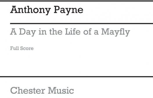 A Day In The Life Of A Mayfly 