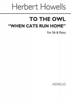When The Cats Run Home 
