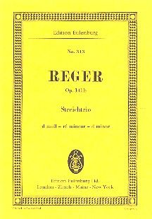 Trio à cordes Ré mineur op. 141b 
