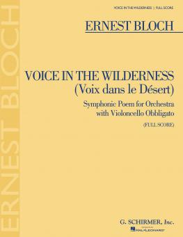 Voice In the Wilderness 
