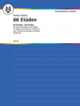 66 Studies Standard