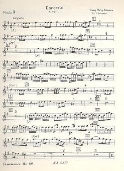 Concerto Mi mineur 