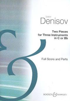 2 Pieces 