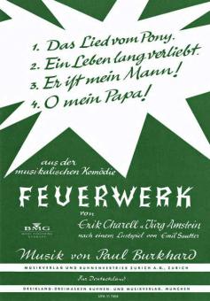 Feuerwerk 