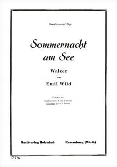 Sommernacht am See 