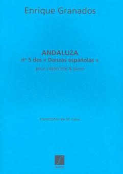 Andaluza 