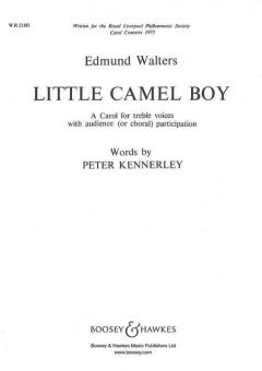 Little Camel Boy 