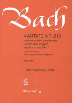 Lasst uns sorgen, lasst uns wachen 