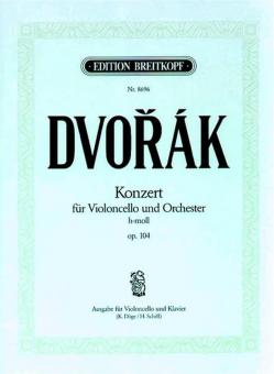 Violin Concerto B Minor Op. 104 