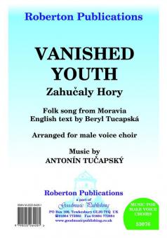 Vanished Youth 