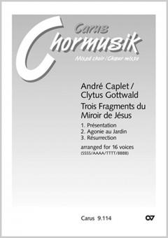 3 Fragments de son. Vokaltranskription von Clytus Gottwald 