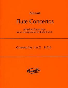 Flute Concerto No. 1 in G K.313 