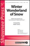 Winter Wonderland Of Snow 