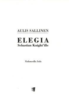 Elegie an Sebastian Knight 